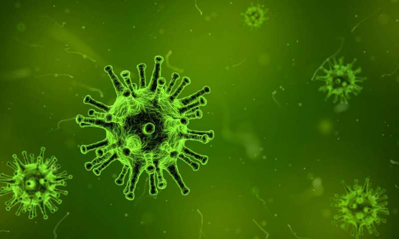 Tesla Investor Solves Mystery on CoronaVirus Pandemic Event