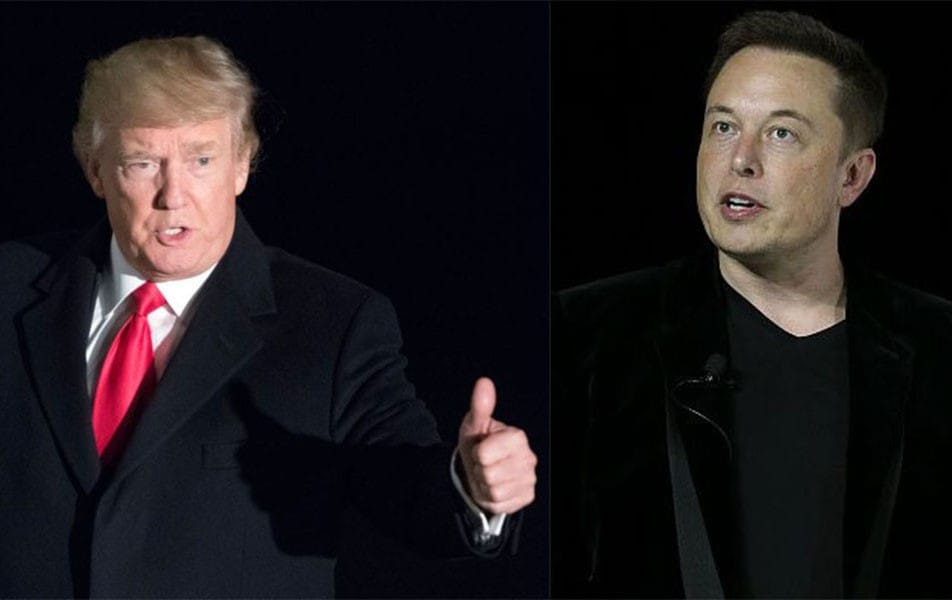 Donald Trump is a Cult Like Tesla and Elon Musk