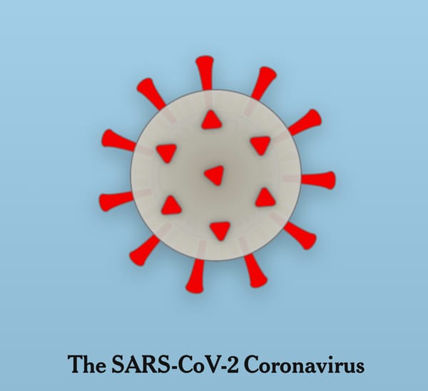 Insider Selling Shows Shocking Truth About Coronavirus Pandemic